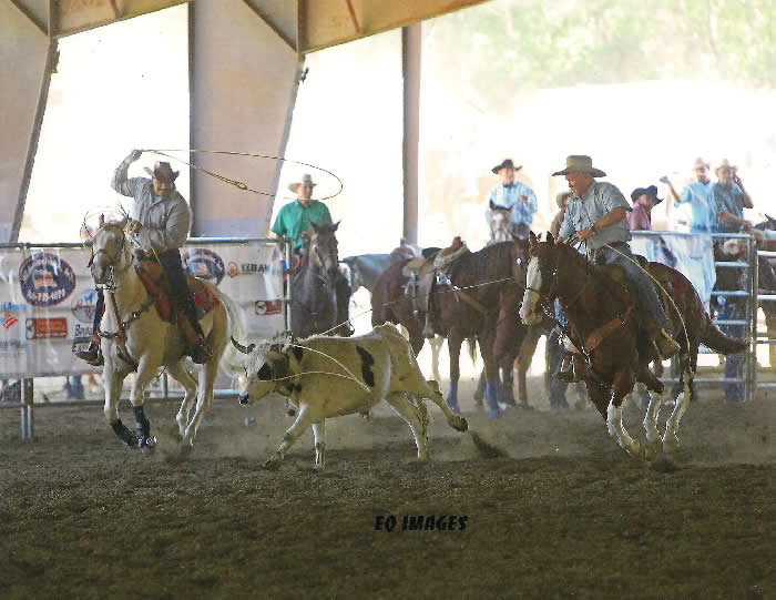 Custom Equine Design